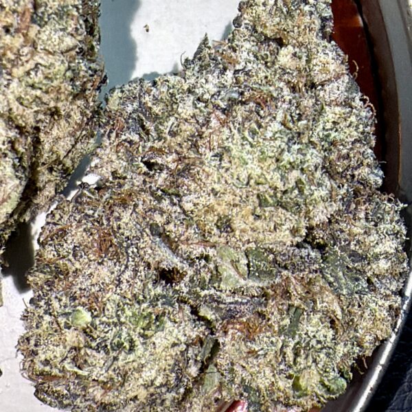 Big Smooth - (Craft - OG Blueberry x Cookies and Cream) Cultivated in House By NFCanna