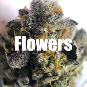 Craft Flowers