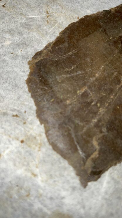 125u Sift Hash - AAAA Bud Sift - Cultivated by private acmpr - Made by NF Extractions (SOLD OUT) - Image 2