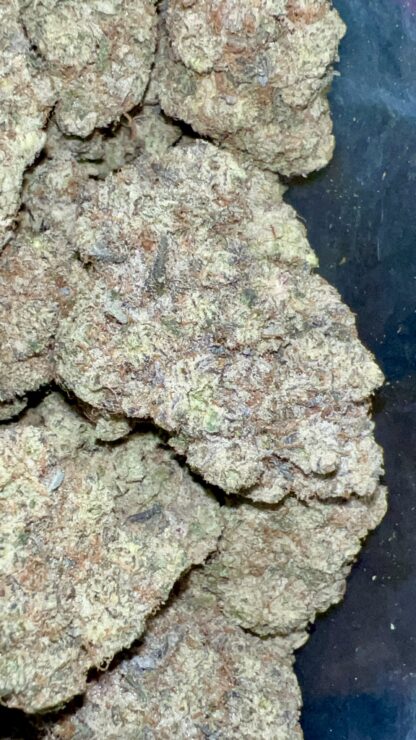 Candy Paint (Gassy Pheno) - Craft - Cultivated In House (Hand Trimmed) (SOLD OUT) - Image 2