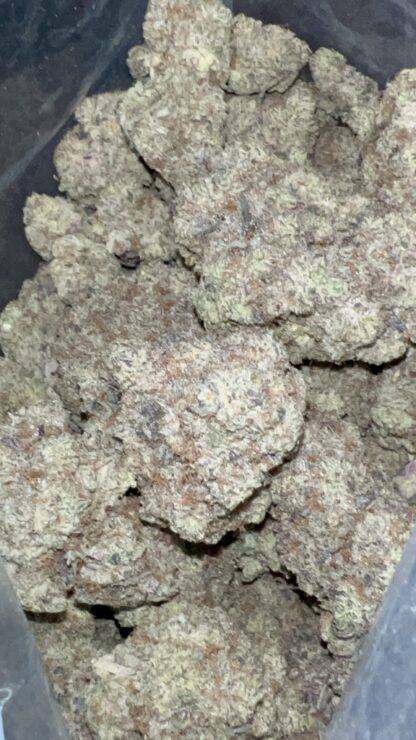 Candy Paint (Gassy Pheno) - Craft - Cultivated In House (Hand Trimmed) (SOLD OUT) - Image 3