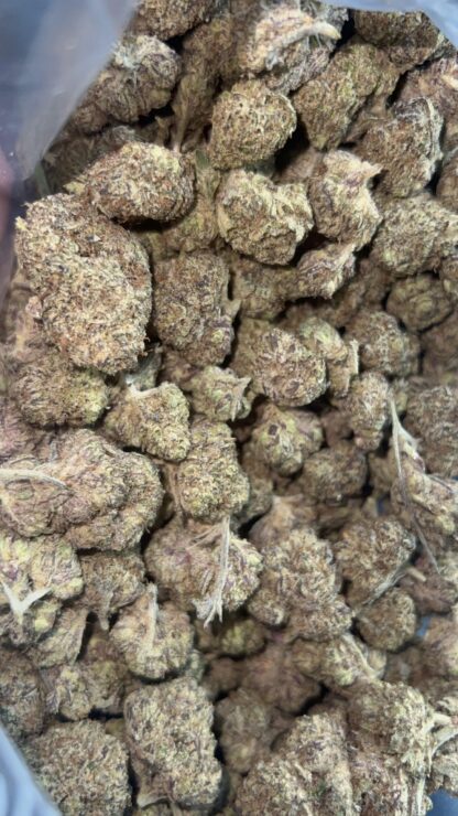 OG Skunk (Grape Pheno) AAA+(Cultivated In House/Hand Trimmed)
