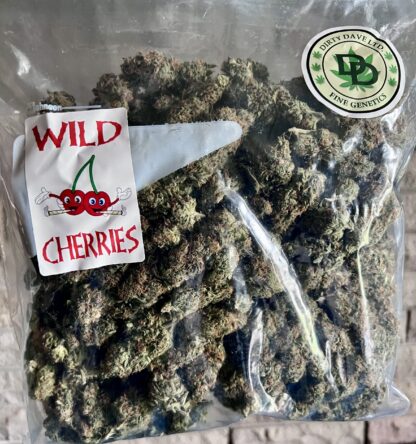 LSO Wild Cherries (Fruity Pheno) - Craft - Cultivated by DirtyDaveLTD (Hand Trimmed) **On Sale** - Image 2