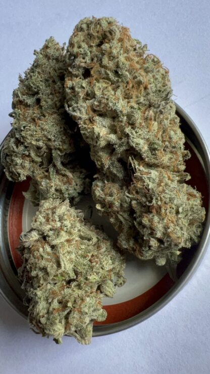 LSO The Remedy (High THC/High CBD) - Craft - Bred/Cultivated by DirtyDaveLTD (Hand Trimmed) *On Sale*