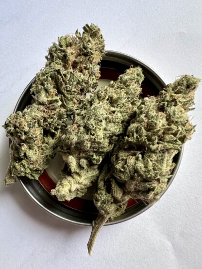 LSO Cherry Slurpee - Craft - 2nd Place Hybid Karma Cup - Cultivated by DirtyDaveLTD (Hand Trimmed) **On Sale**