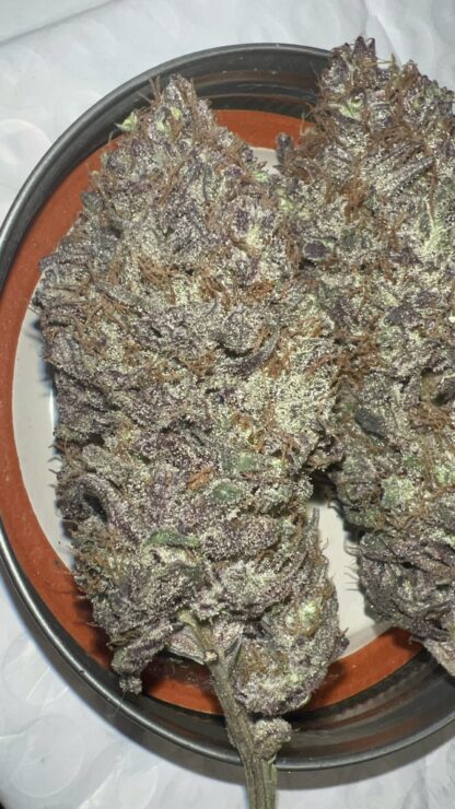 Cherry Titties - Cultivated in house by Nature’s Fire (Craft) (sold out) 😌