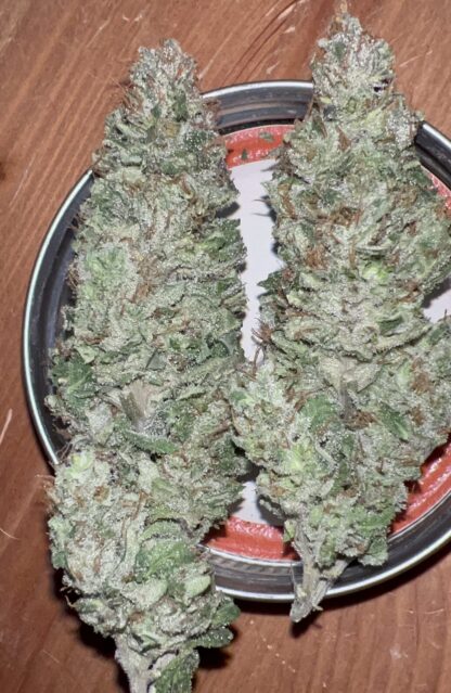 Skunk Wrecked Widows - Cultivated in house by Nature’s Fire (Craft) *Sold Out*😌