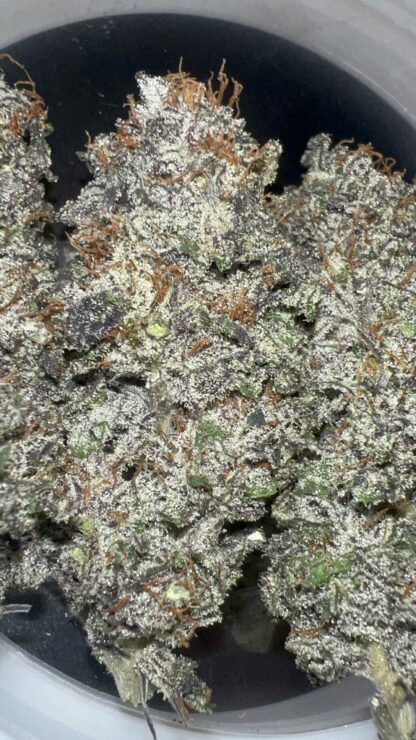 Barn Burner 🔥 (Greenpoint Seeds) - Cultivated in house by Nature’s Fire (Craft) *Sold Out* 😀