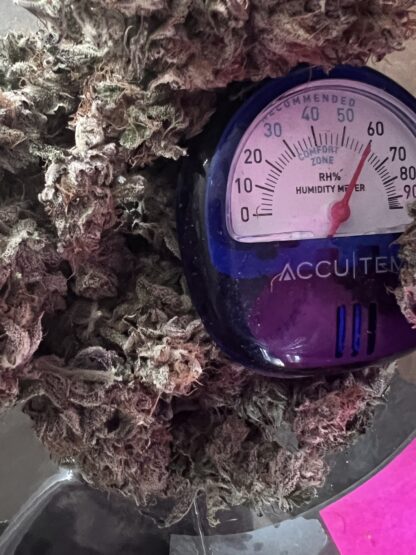 Cake Face (Pheno 1) - Cultivated In-House by Nature's Fire - Image 3