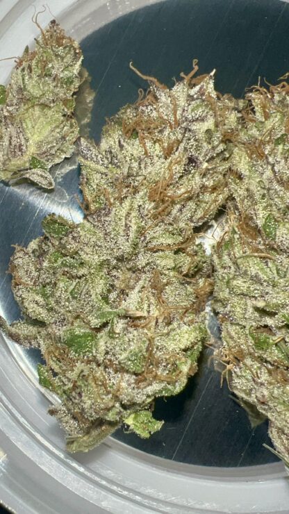 Cake Face (Pheno 1) - Cultivated In-House by Nature's Fire