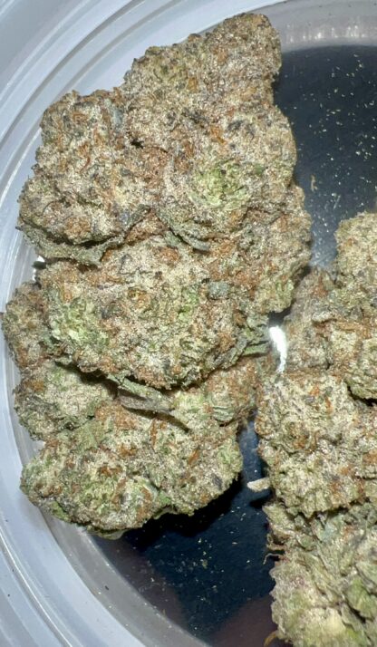 Han Solo Burger (Pheno 1) - (Craft Cultivated In-House) - Image 2