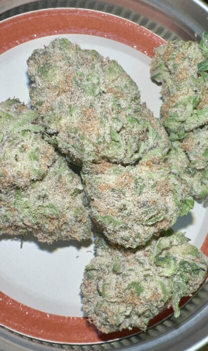 Lemon Cherry Gelato (Pheno 1) - (Craft Cultivated In-House)