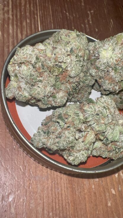 Classic Jack Herer (Pheno 1) - (Craft - Cultivated In House) - Image 2