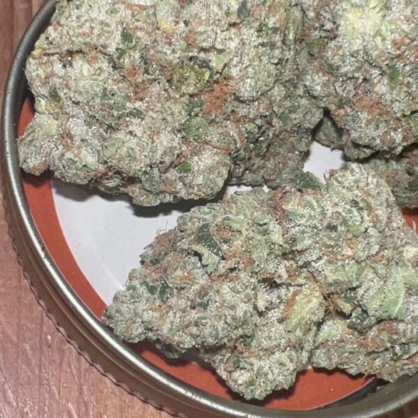 Classic Jack Herer (Pheno 1) - (Craft - Cultivated In House)