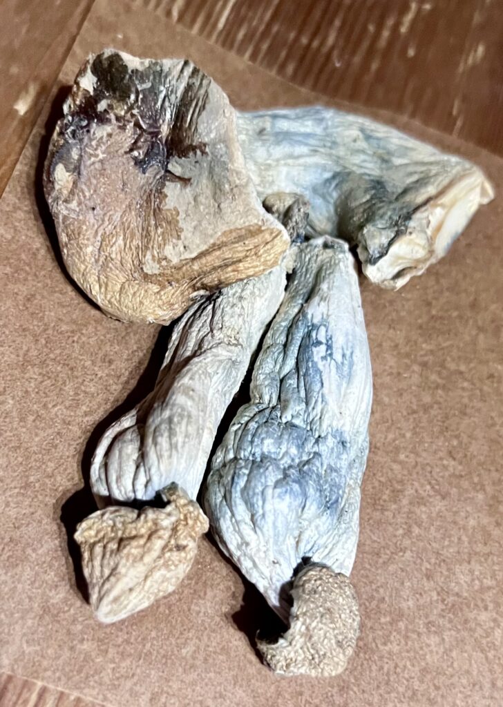 King Dong (Psilocybin Magic Mushrooms) - AAAA (Only $2.85/g)