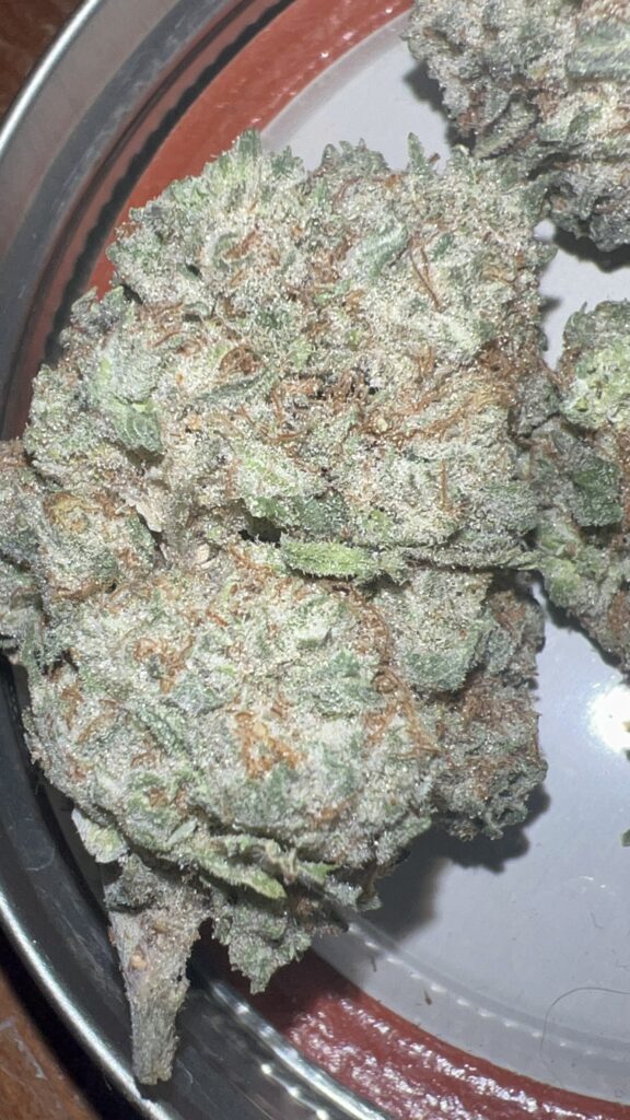 Wedding Cake - Pheno 1 - (Cultivated by Nature’s Fire)