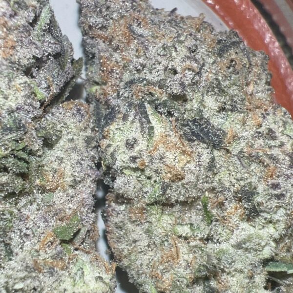 Strawberry Cough - Pheno 1 - (Cultivated by Nature’s Fire) (SOLD OUT)