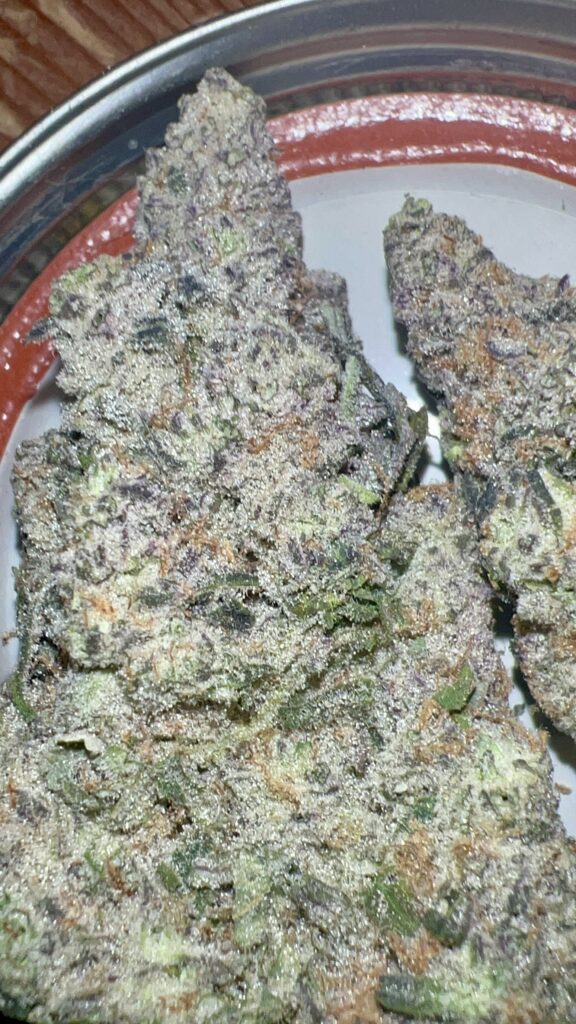Strawberry Cough - Pheno 1 - (Cultivated by Nature’s Fire) (SOLD OUT)