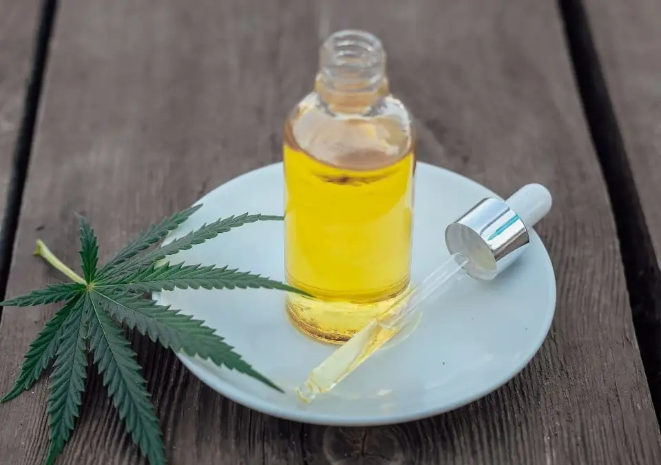 Dropper bottle of CBD oil on a plate with a cannabis leaf, demonstrating CBD oil for cooking.