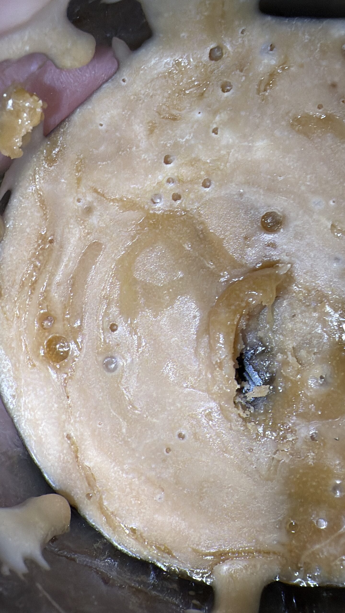 Source photograph: WPFF Grape Biscotti Sundae Live Hash Rosin – Cultivated/Extracted in house by NFCanna